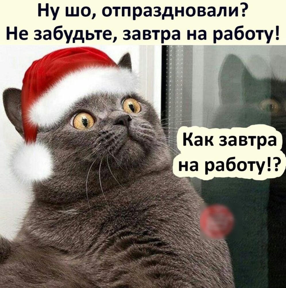 Открытка с понедельником смешная