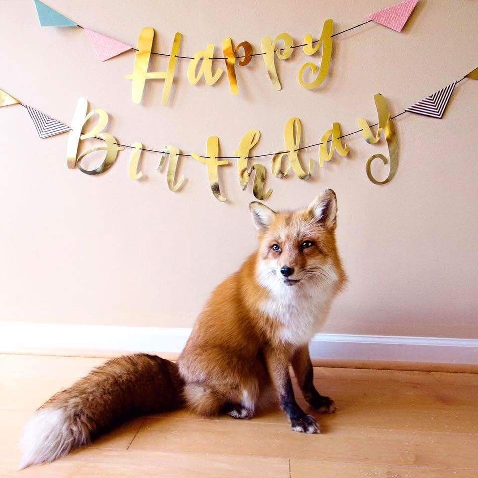 С днем рождения йога