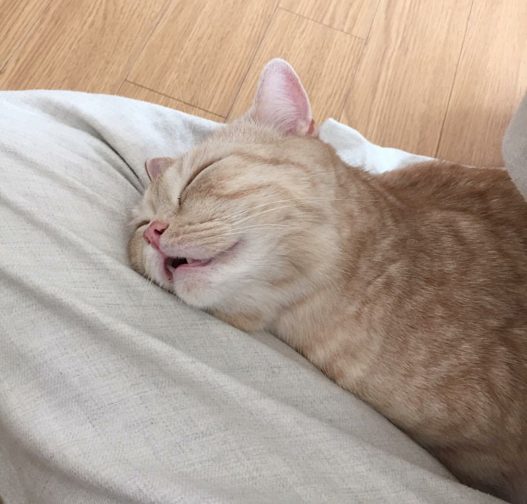 Смешная открытка опять на работу