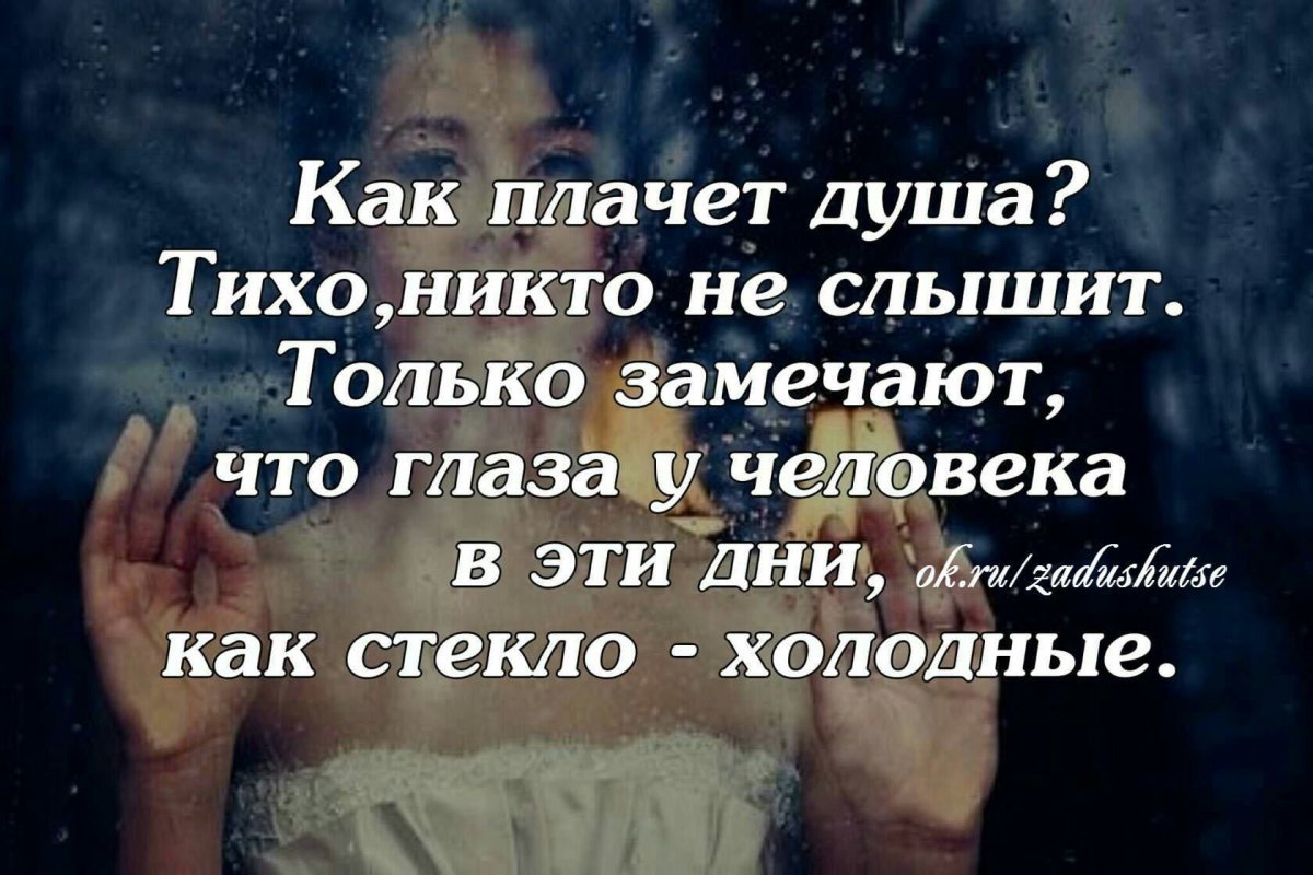 Простые люди цитаты