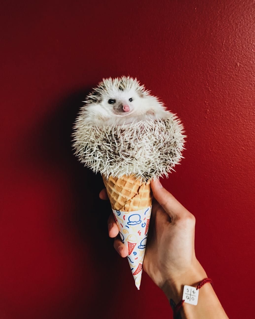 Мороженое Ежик