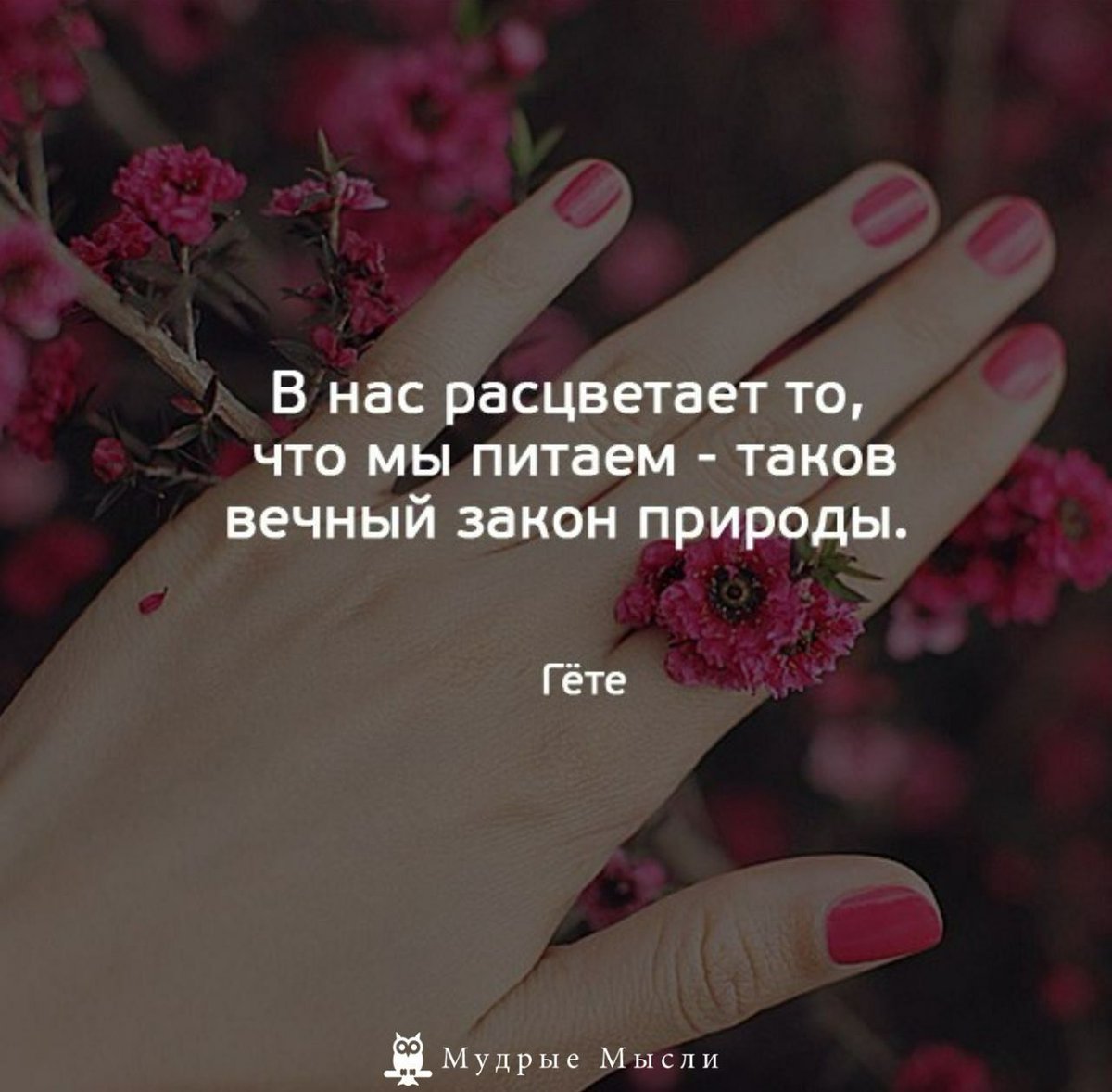 Душевные статусы