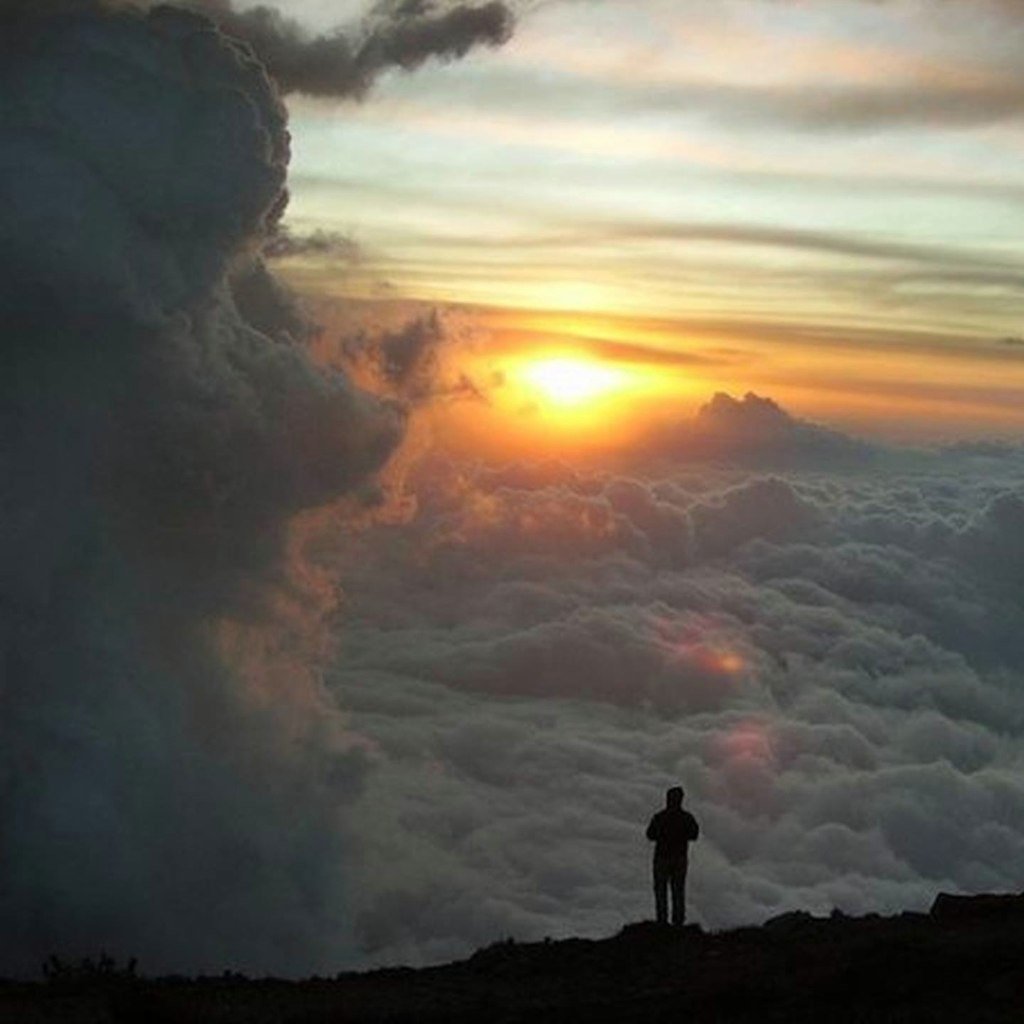 Жить просто жить