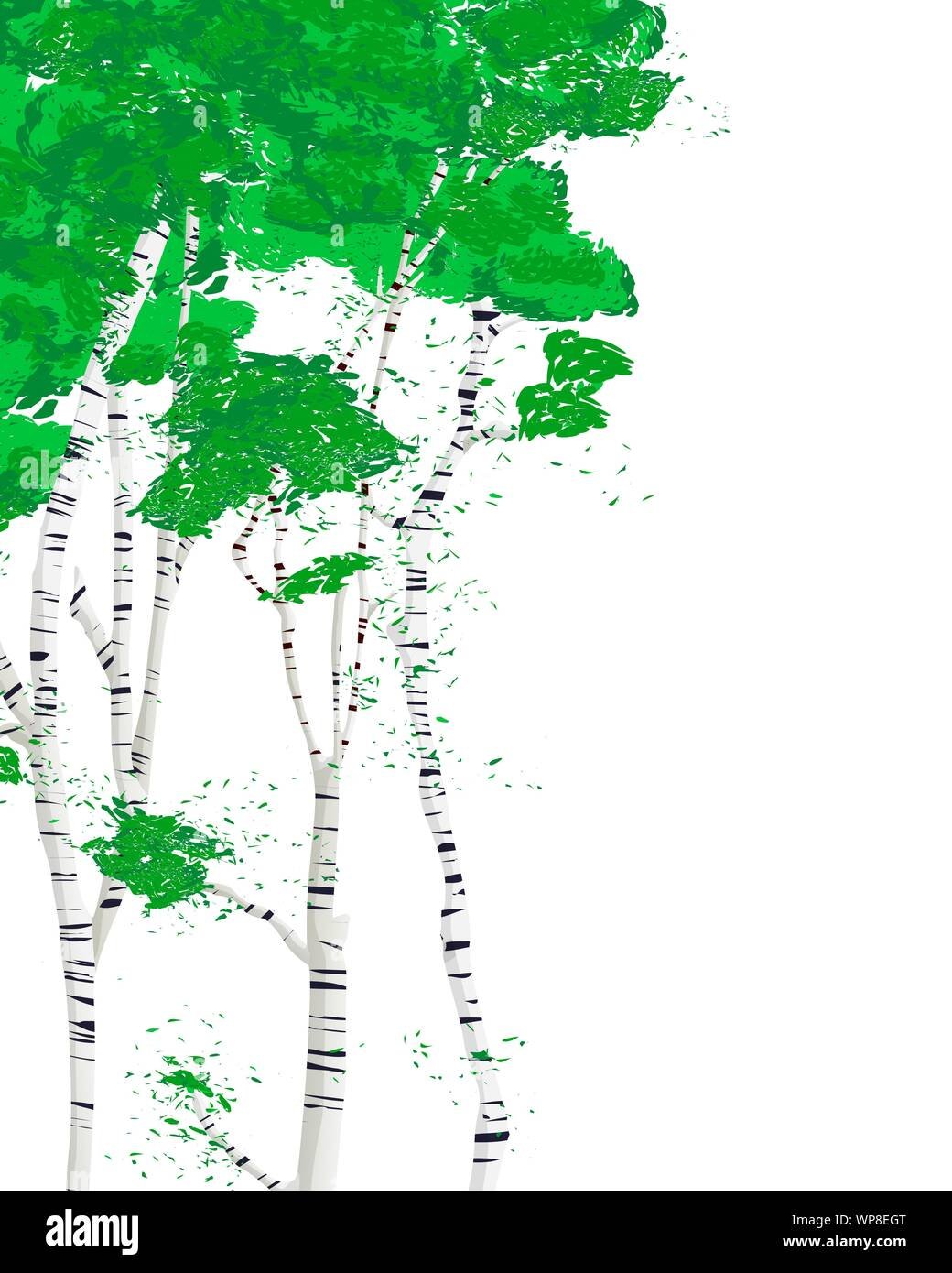 Березы Векторная Графика