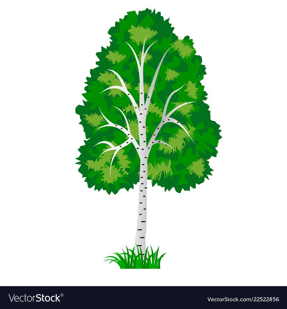 Березовая роща 1889г.