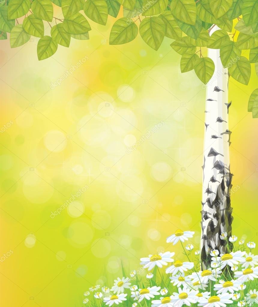 Березы вертикально