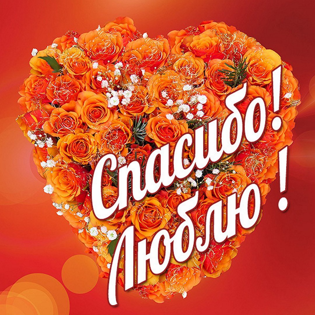 Спасибо моя дорогая