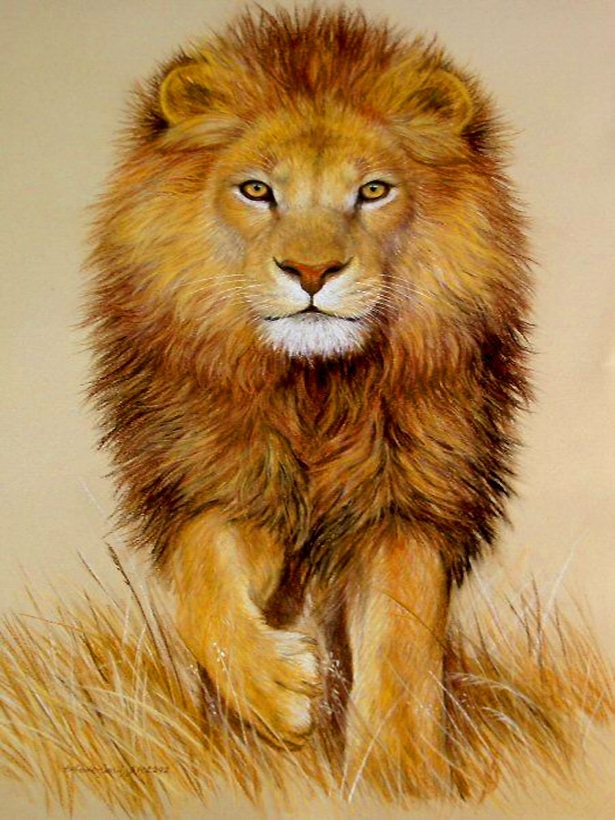 Грива Льва для детей