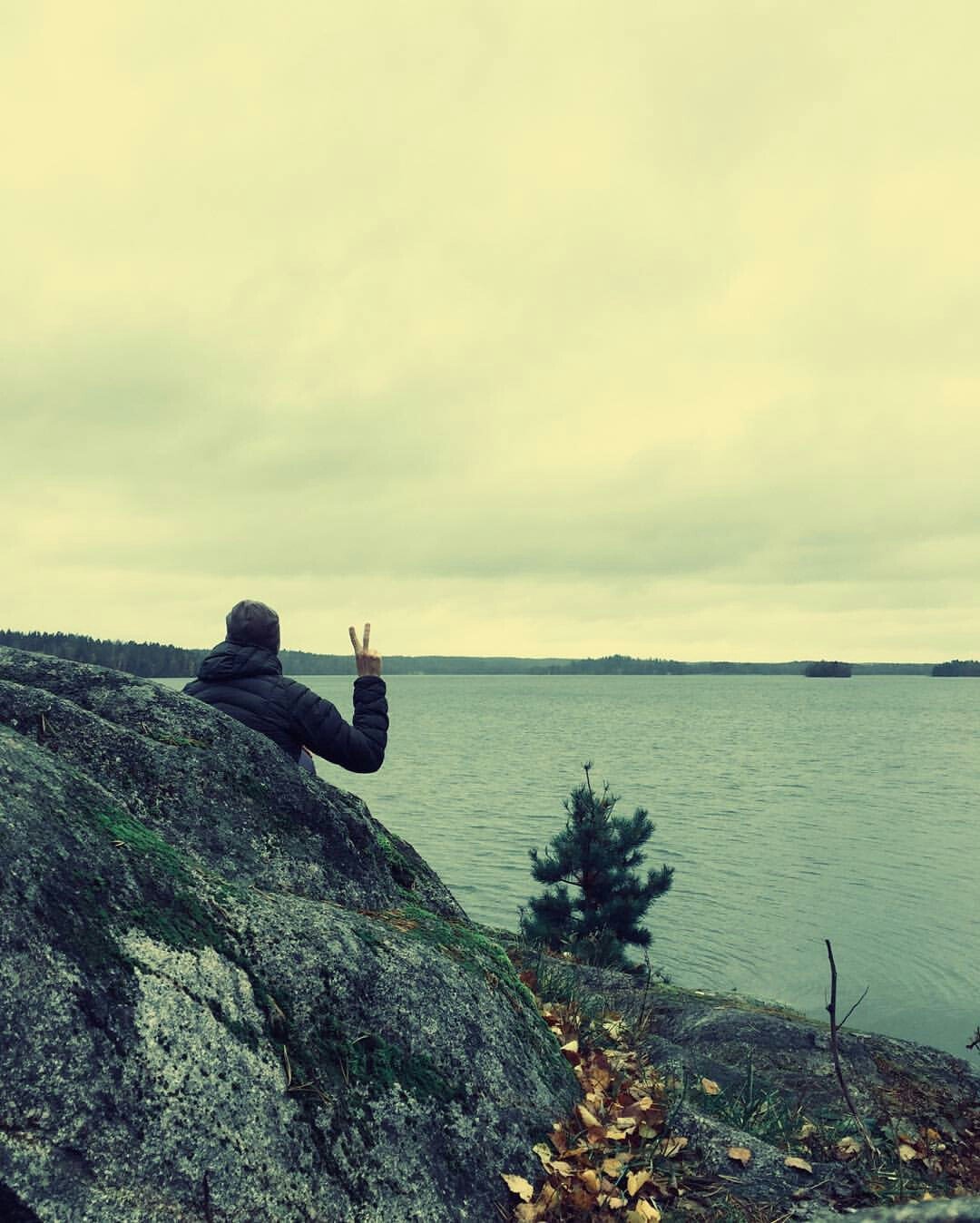 Илья Аркадов