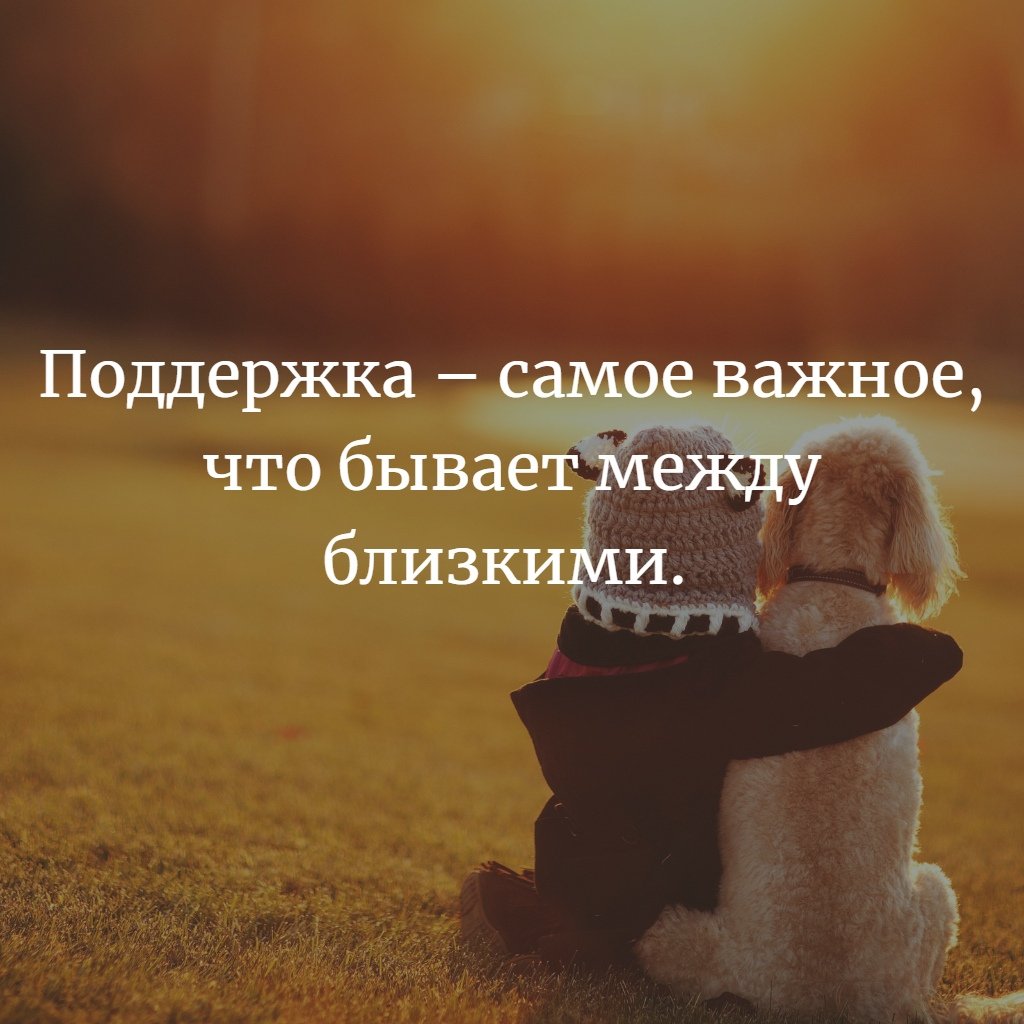 Цитаты про поддержку