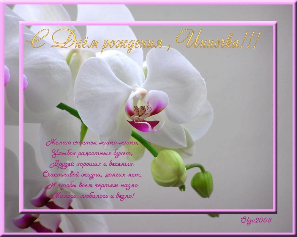 С днём рождения Таха