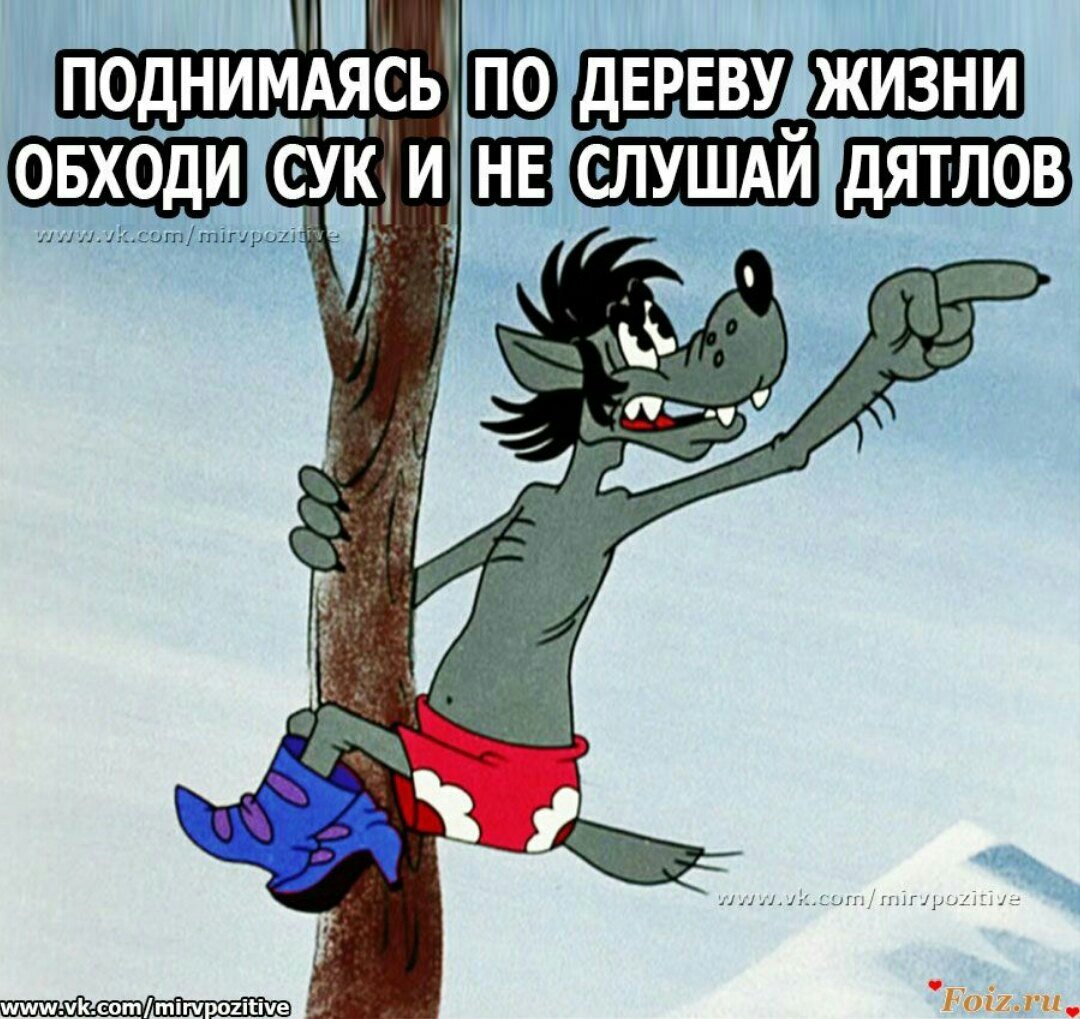 Ну погоди волк Снегурочка