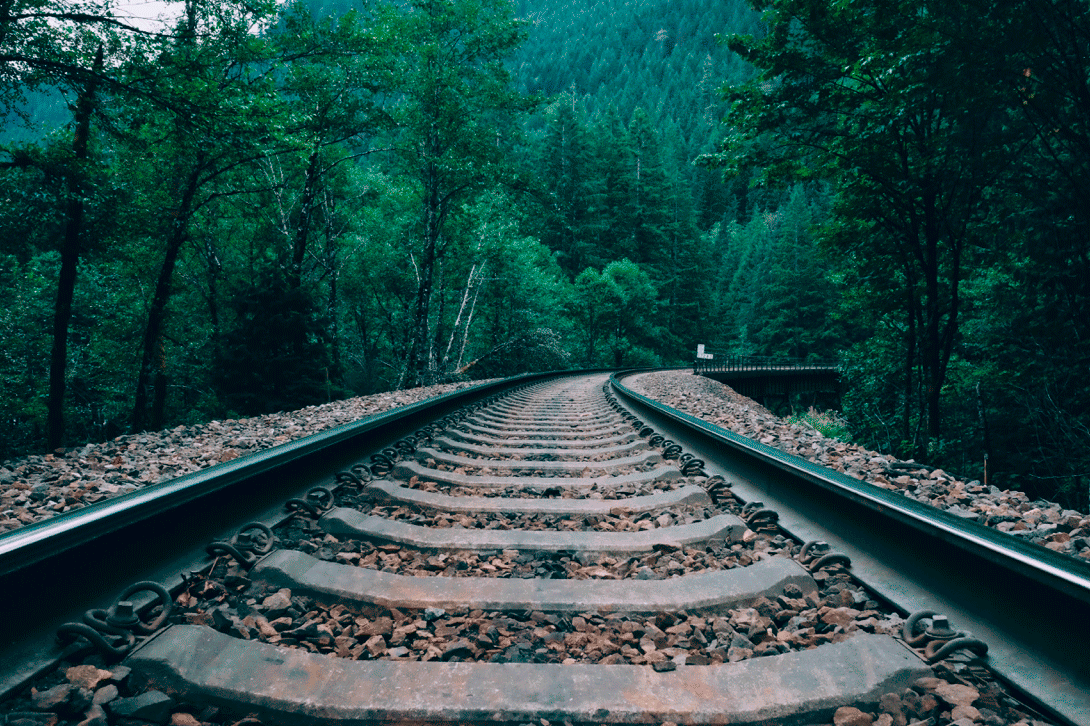 Рельсы в лесу