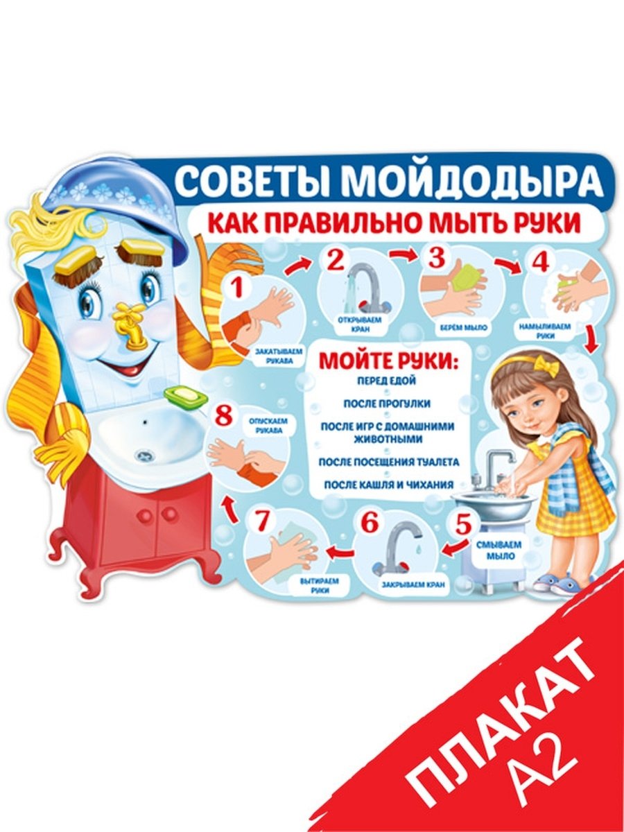 Команда Мойдодыр