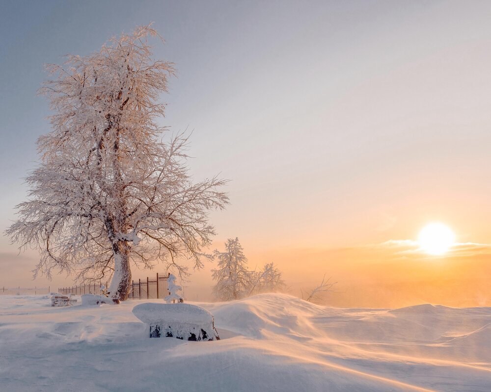 Красивый зимний рассвет