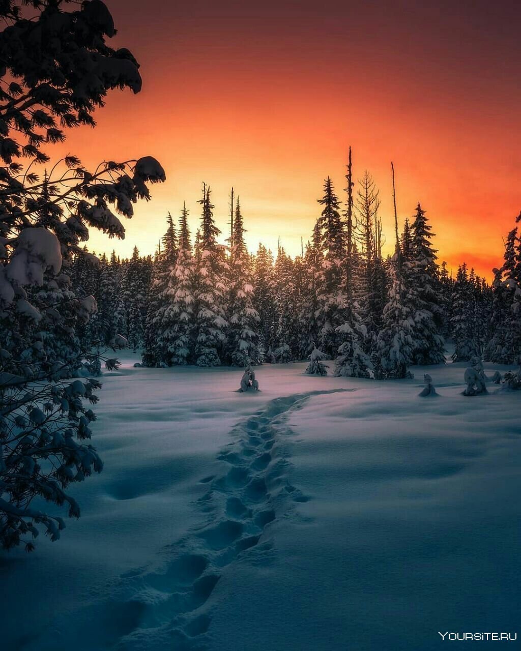 Зимний закат