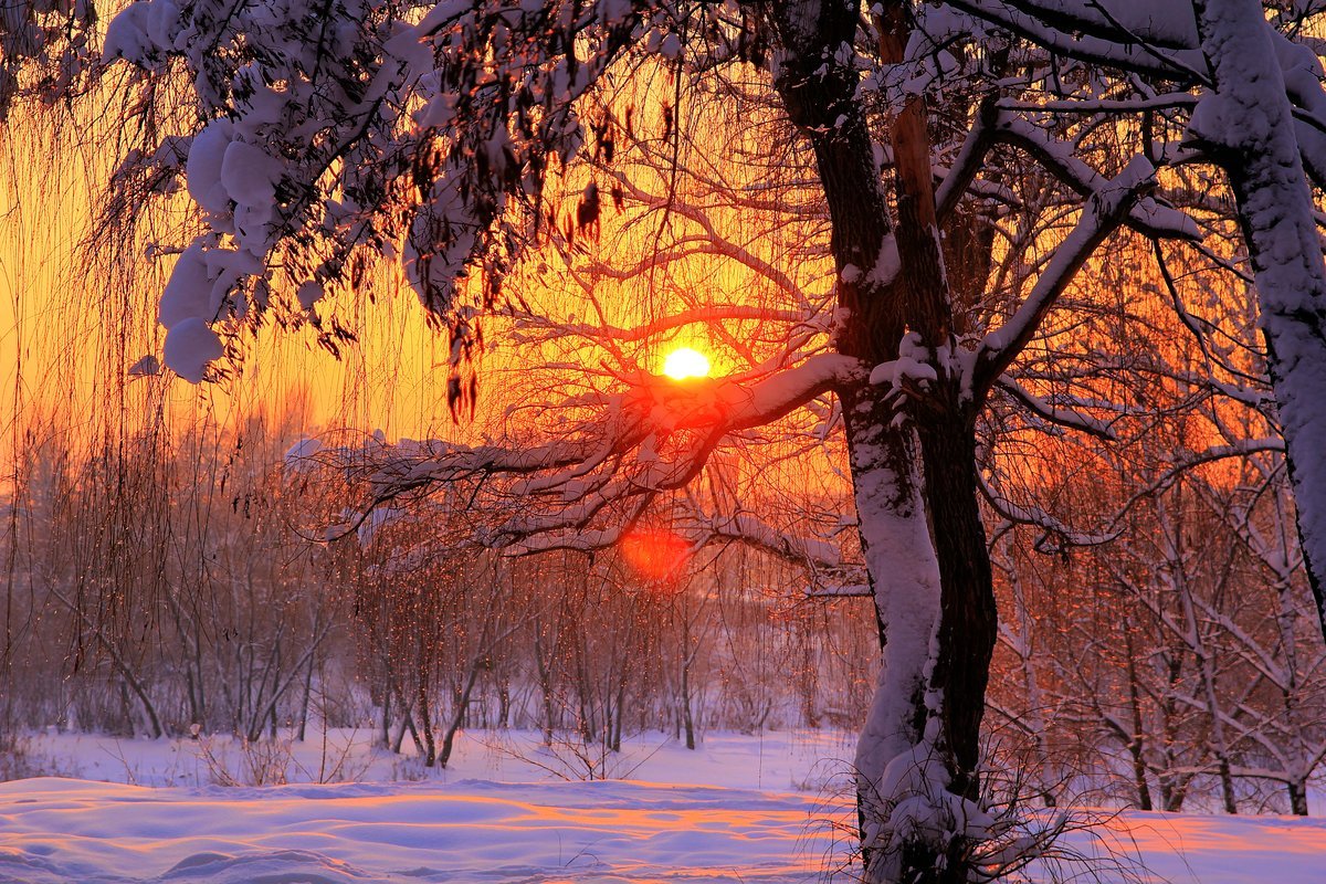 Зимний вечер