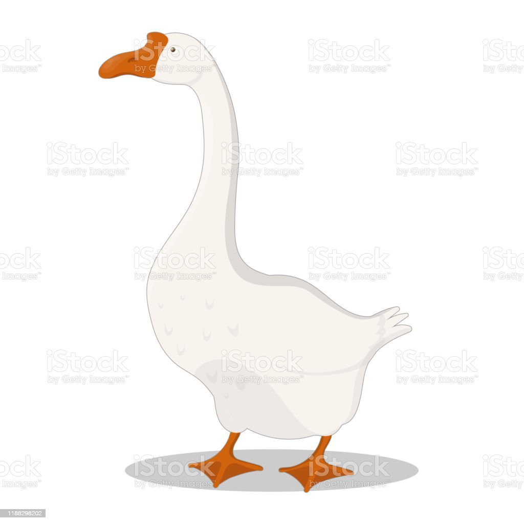 Гусь иллюстрация