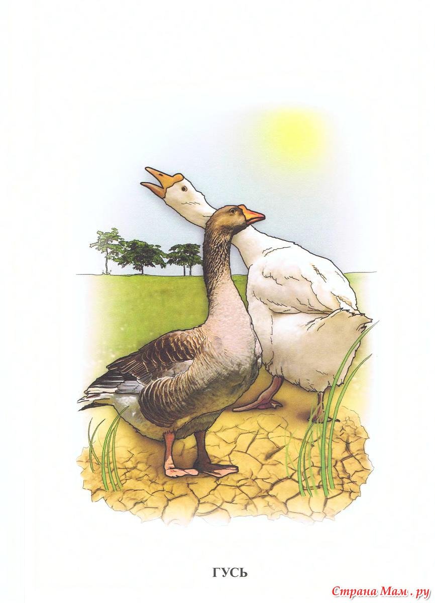 Гусь мультяшный
