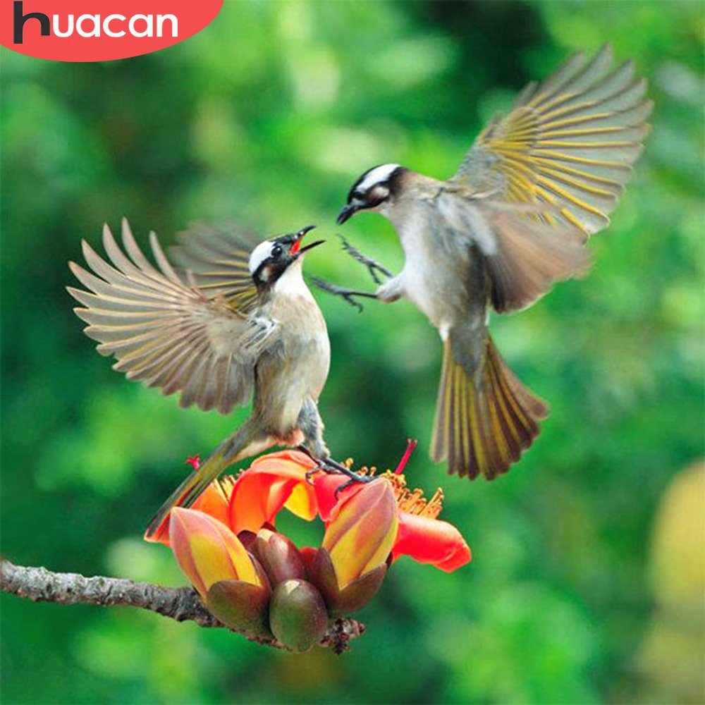 Кардинал птица