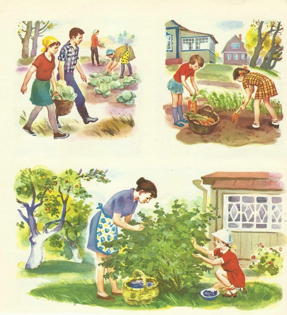 Иллюстрации для детей для составления рассказов