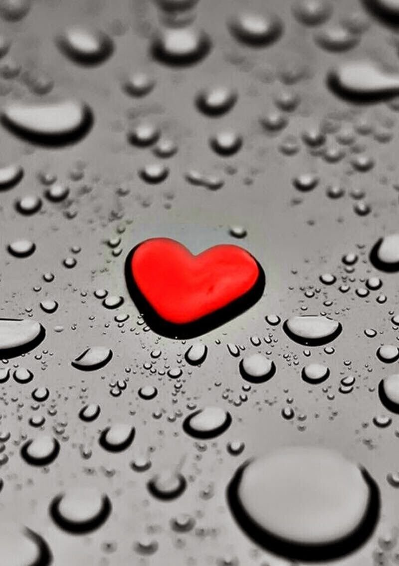 Кермит на аву