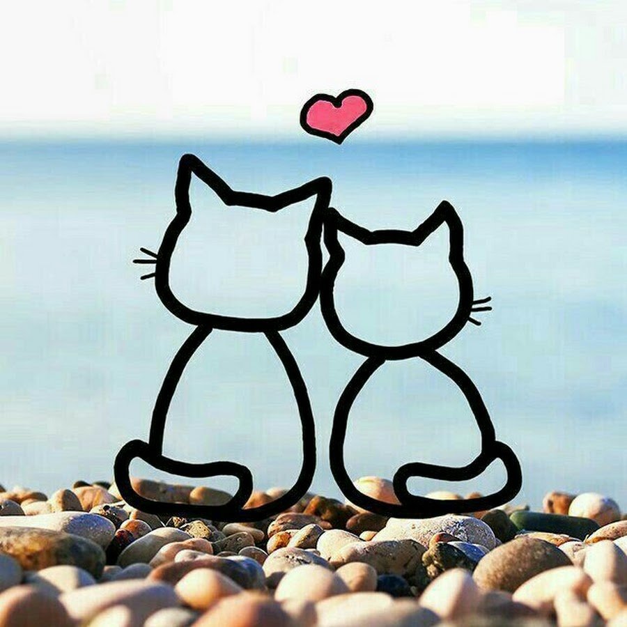 Картинки для группы в ватсапе для друзей