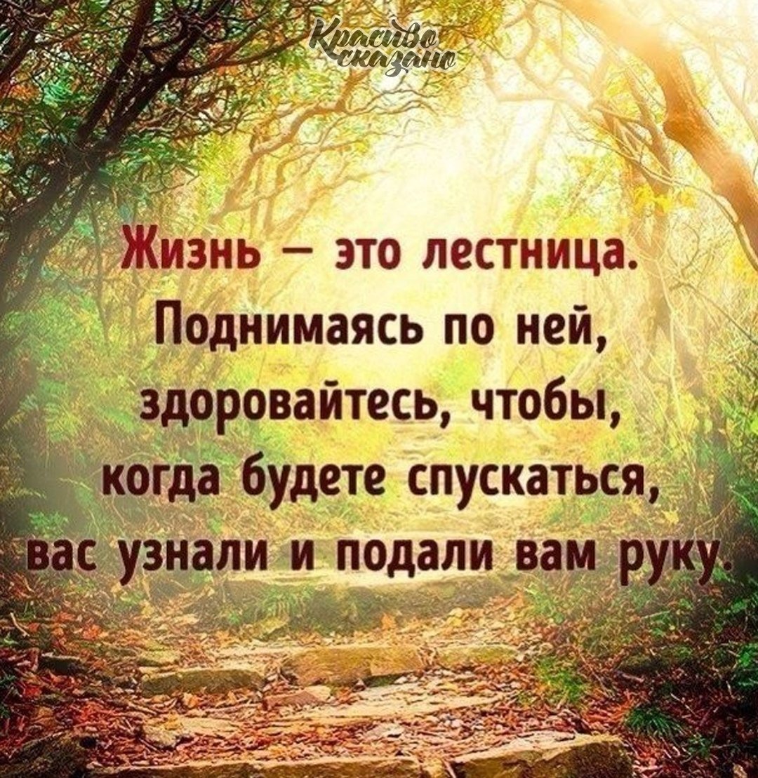 Красивые цитаты