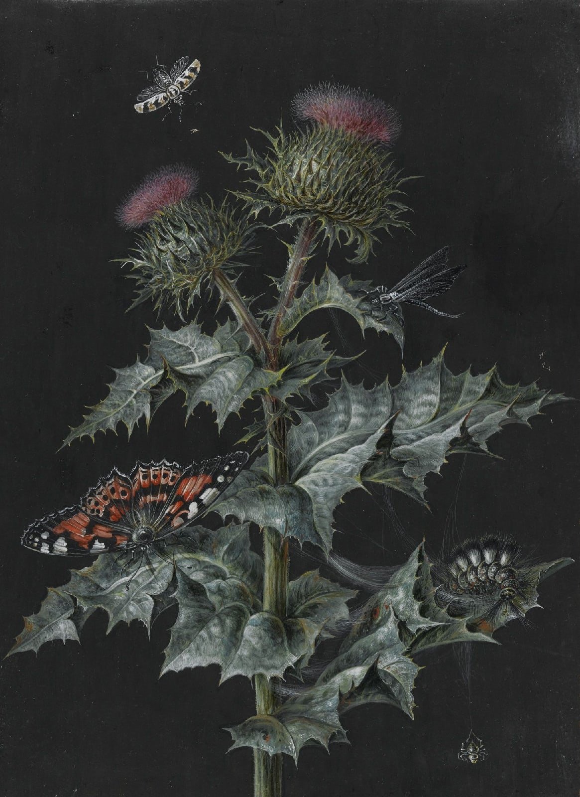 Barbara Regina Dietzsch Бавария 1706 1783