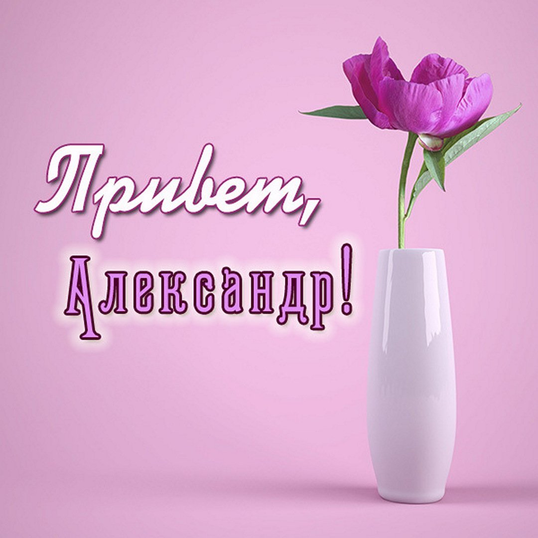 Саша я тебя очень сильно люблю