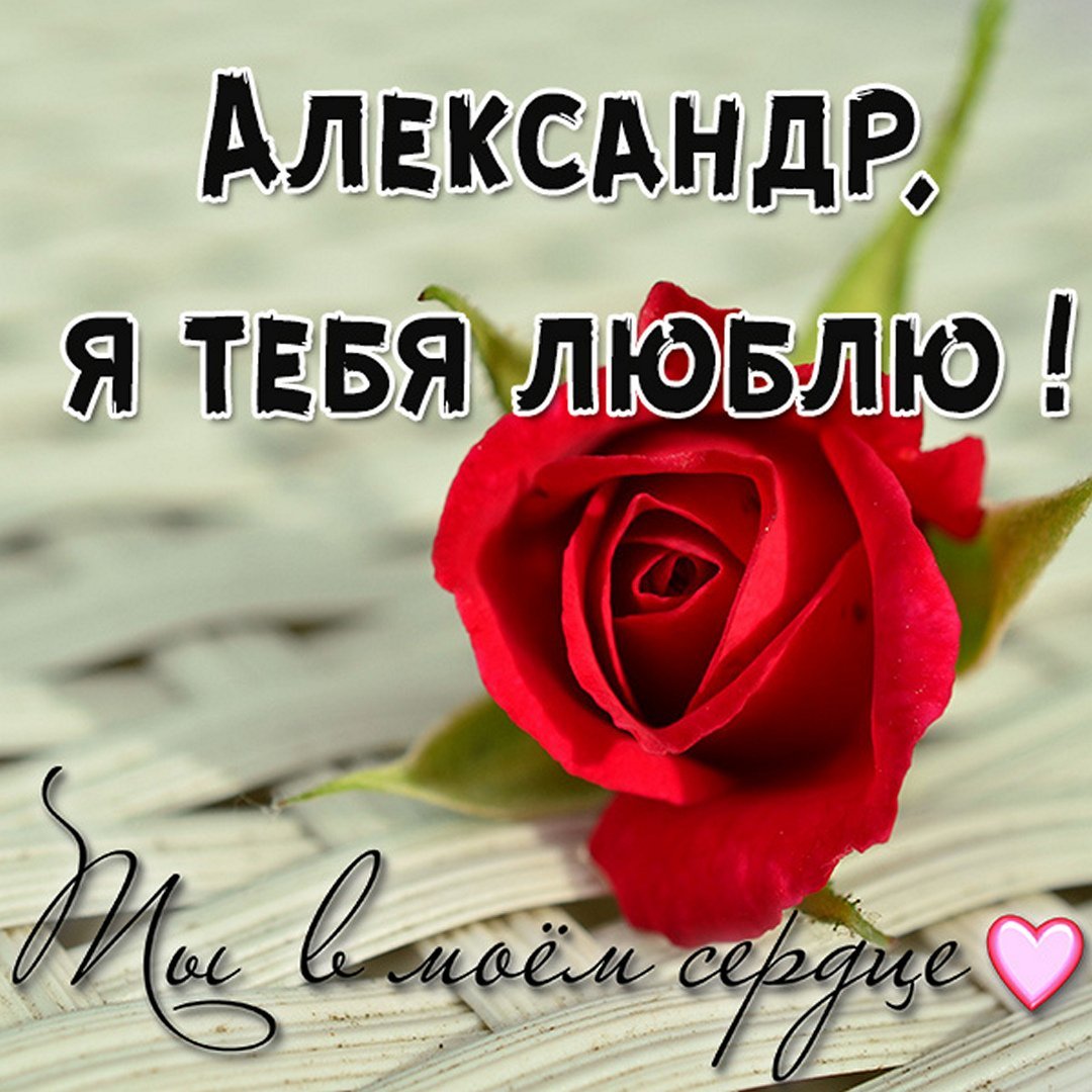 Саша имя надпись