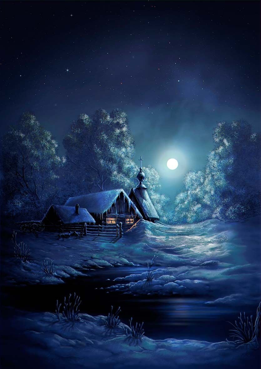 Зимний лес ночью