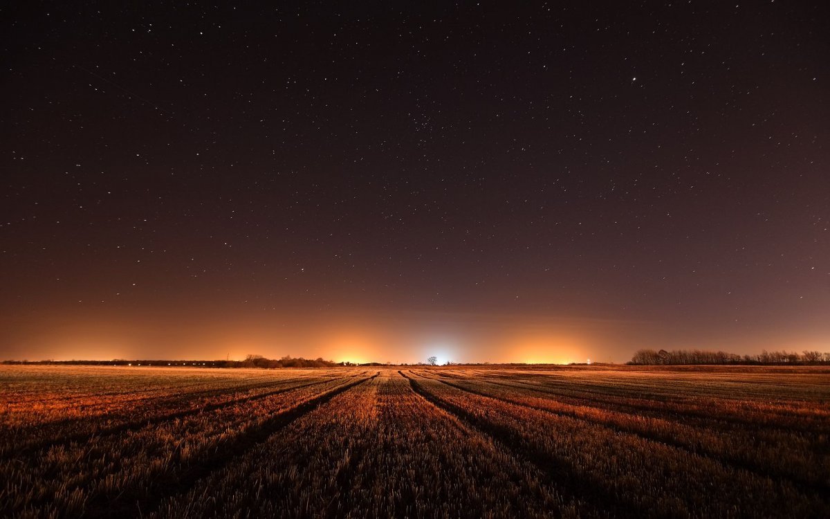 Ночное поле