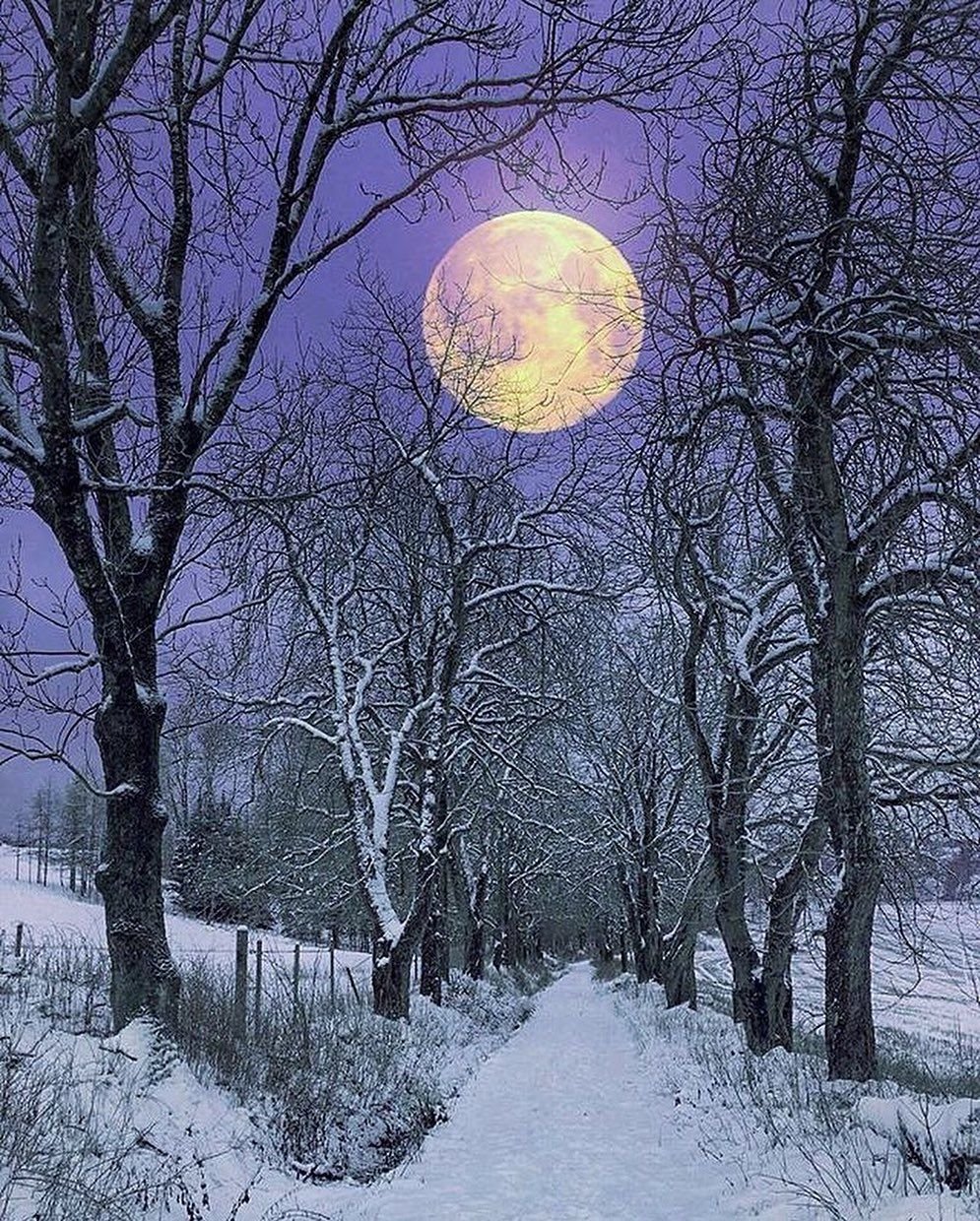 Домик в зимнем лесу