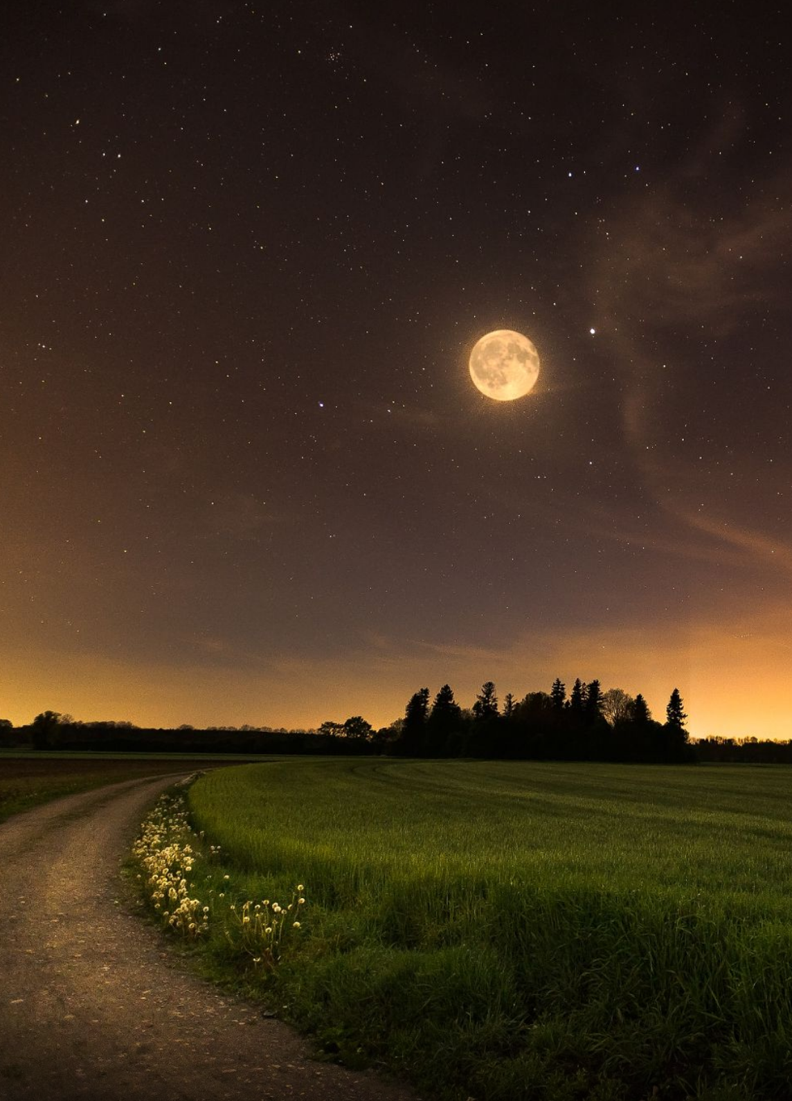 Летняя ночь