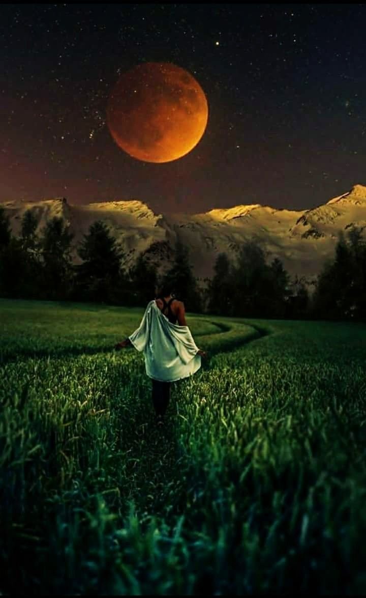 Ночное поле с луной