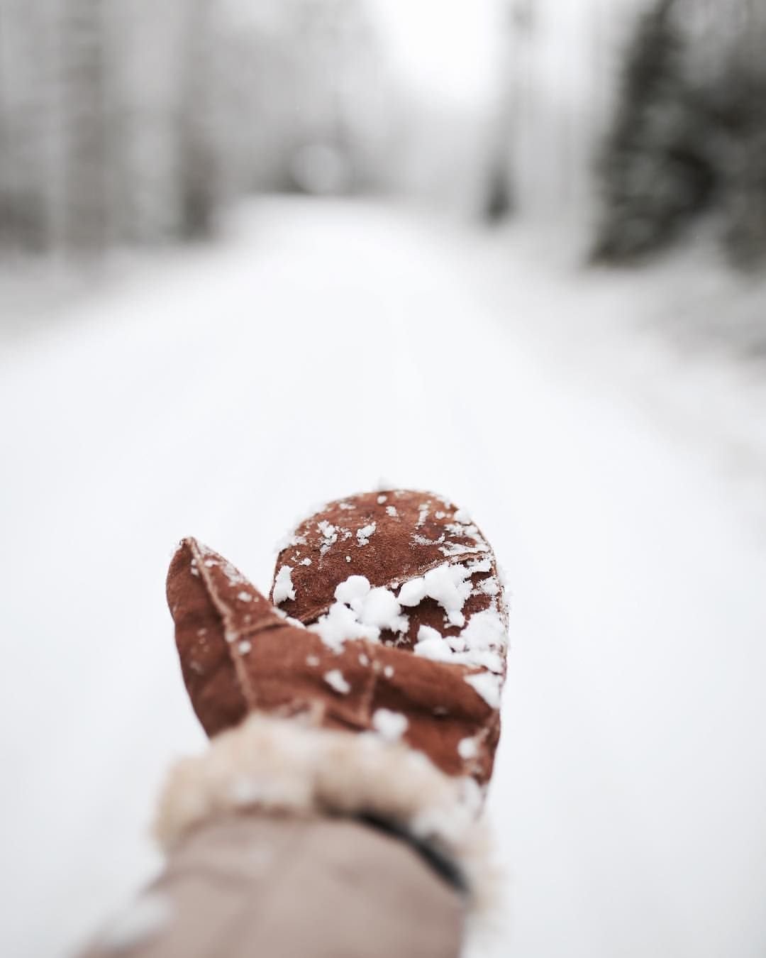 Зимний лес Эстетика