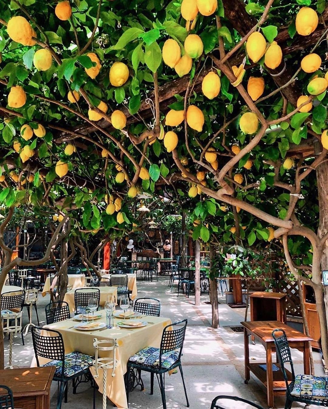 Амальфи Италия лимоны