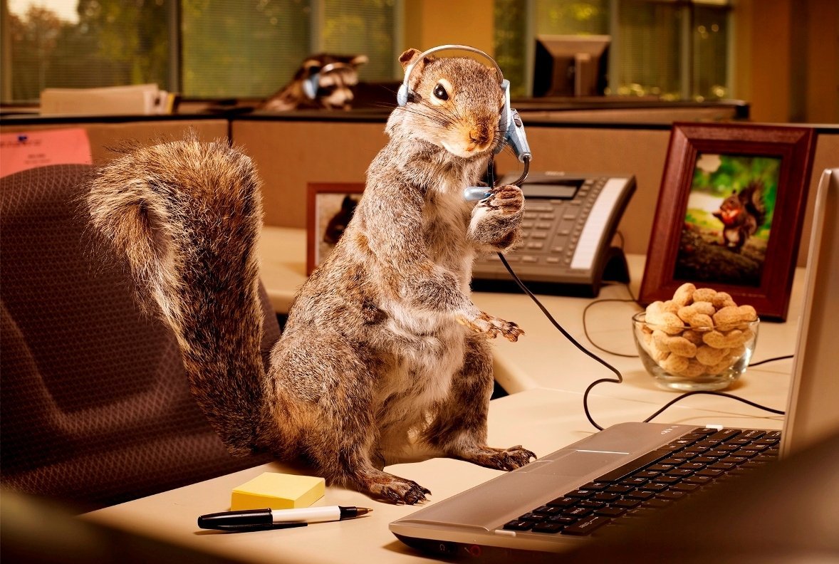 Кролик с книжкой