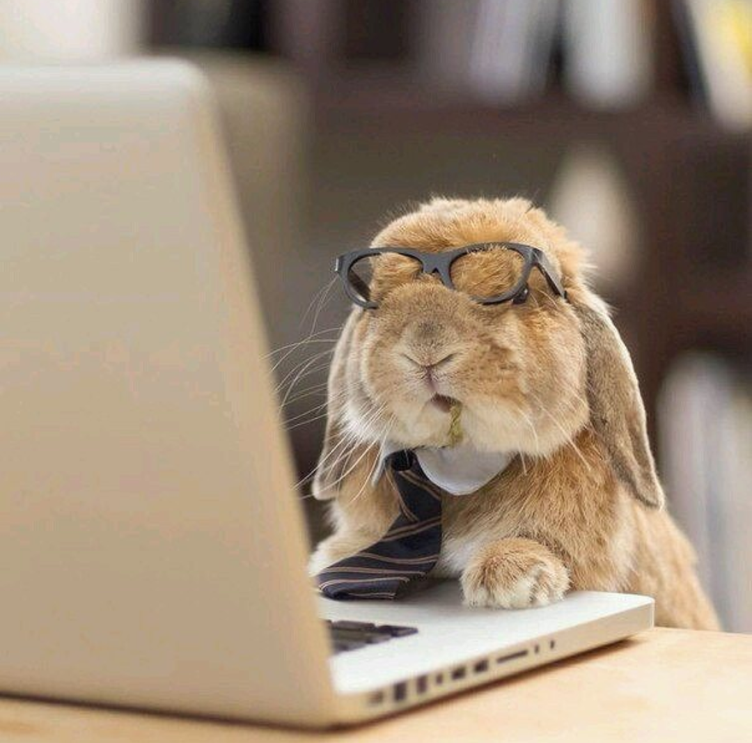 Кролик Коко