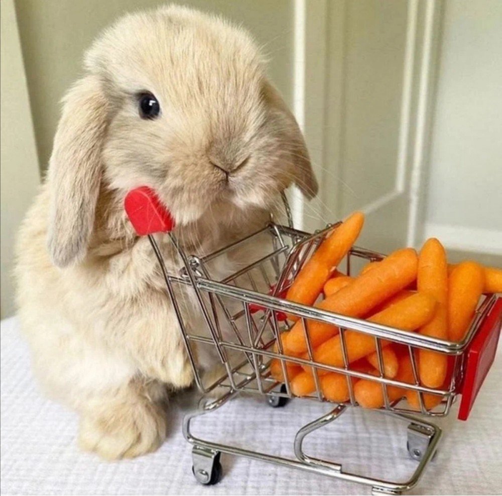 Злой Зайка из мультика Тайная жизнь