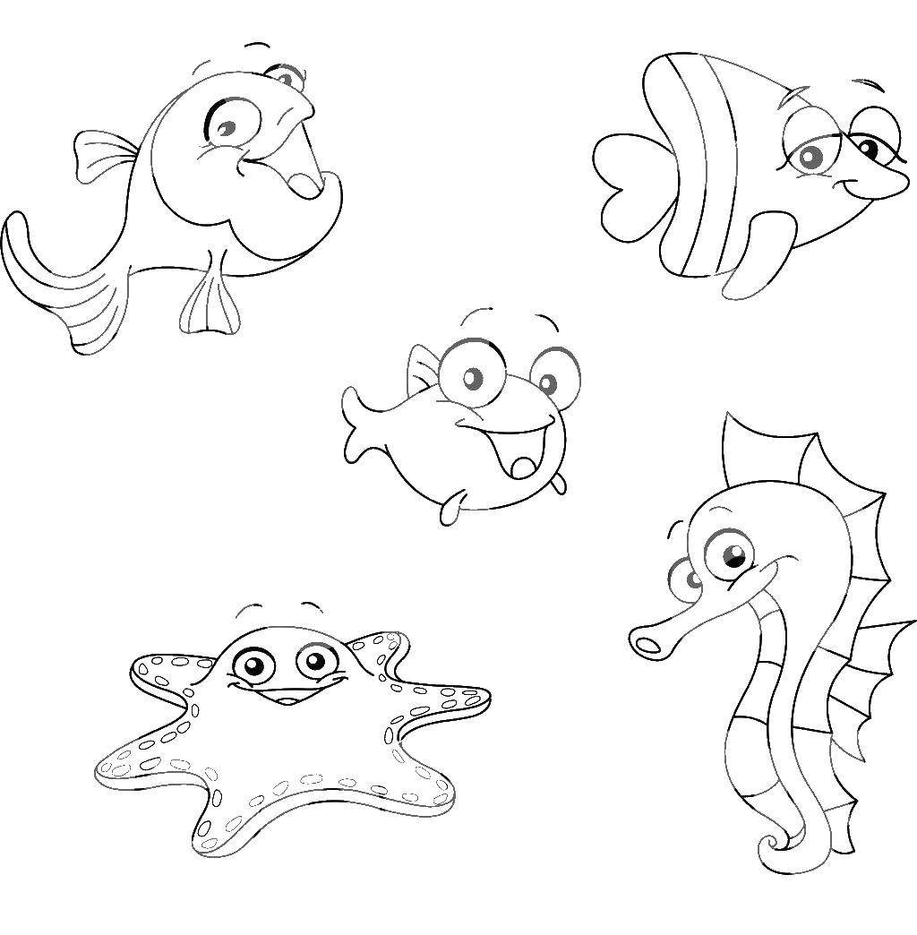 Раскраска. Морской мир