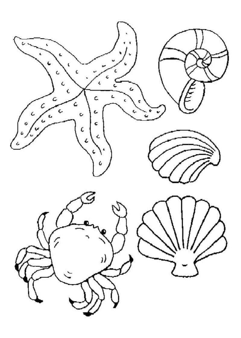 Морские рыбы раскраска для детей