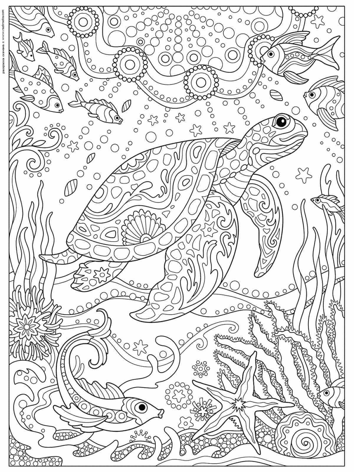 Морские обитатели карандашом