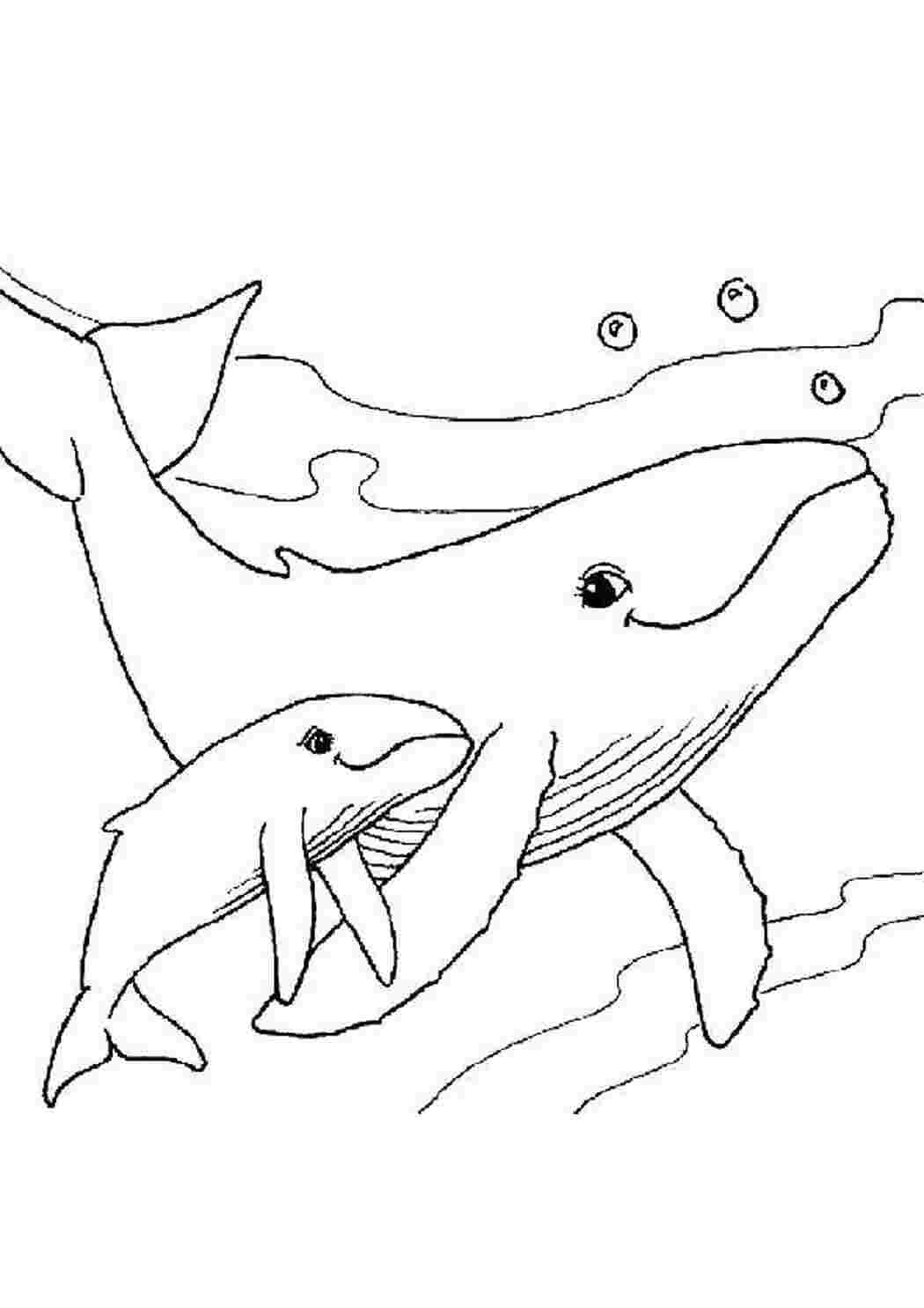 Стилизация морских обитателей