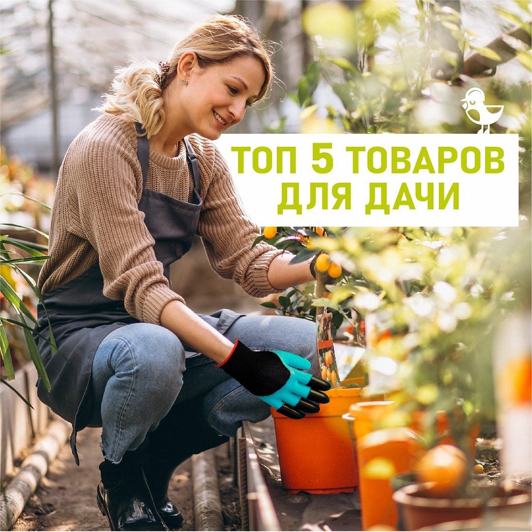 Дачный сезон