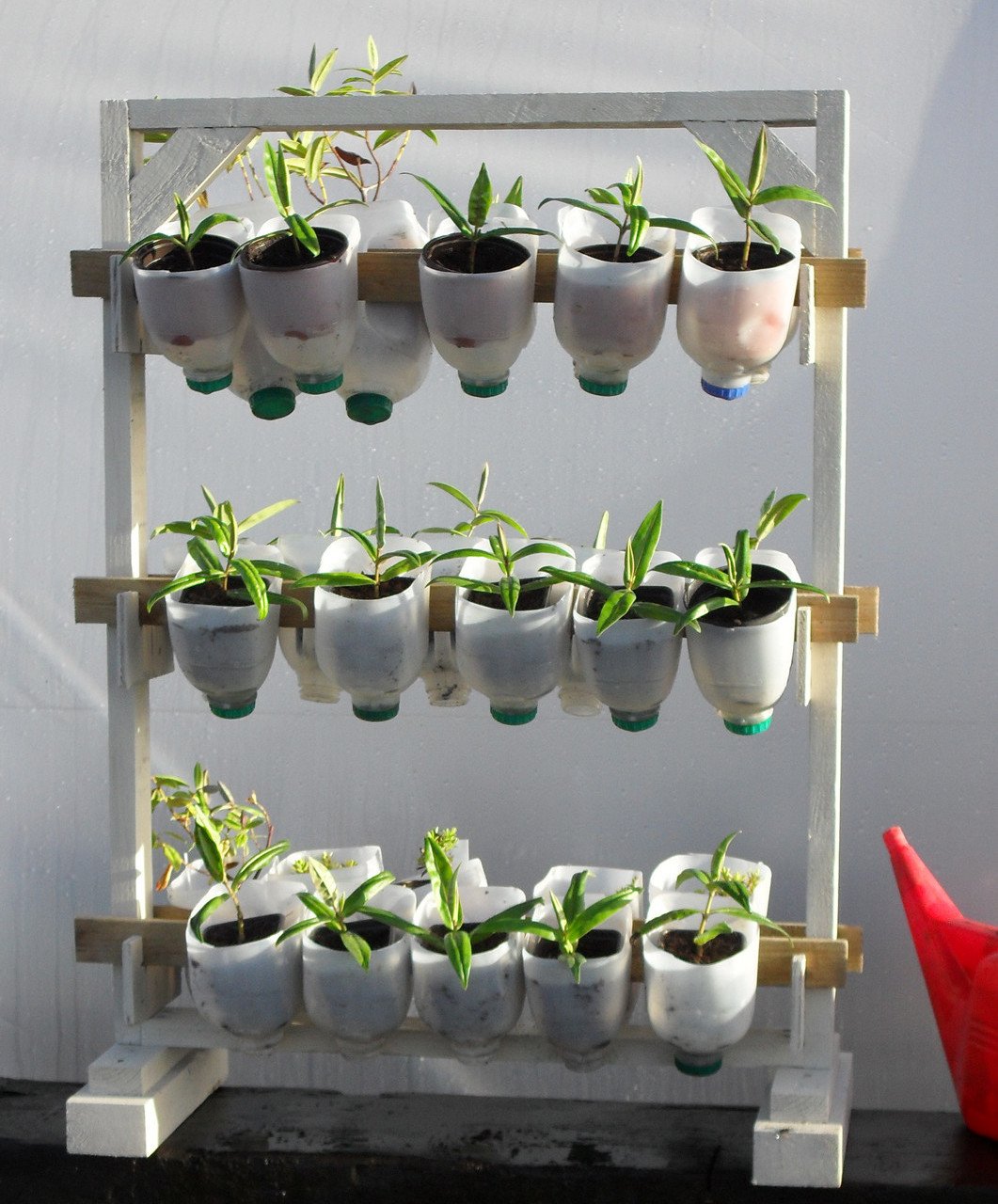 Огород на окне из пластиковых бутылок