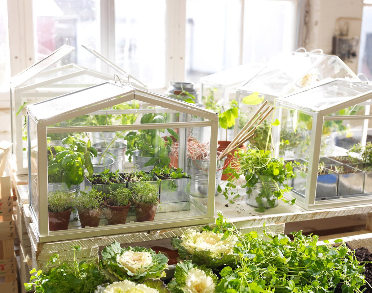 Мини теплица Greenhouse