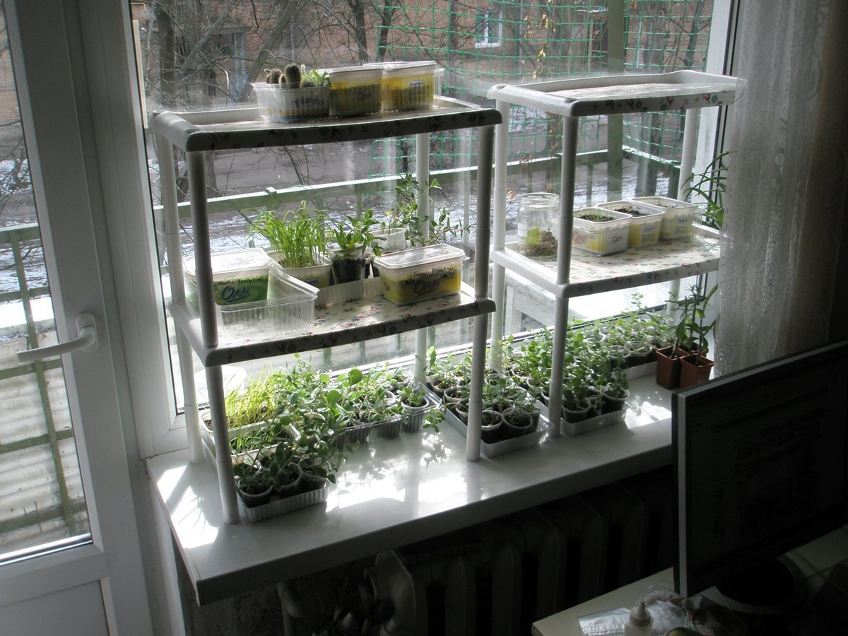 Стеллаж для рассады на окно