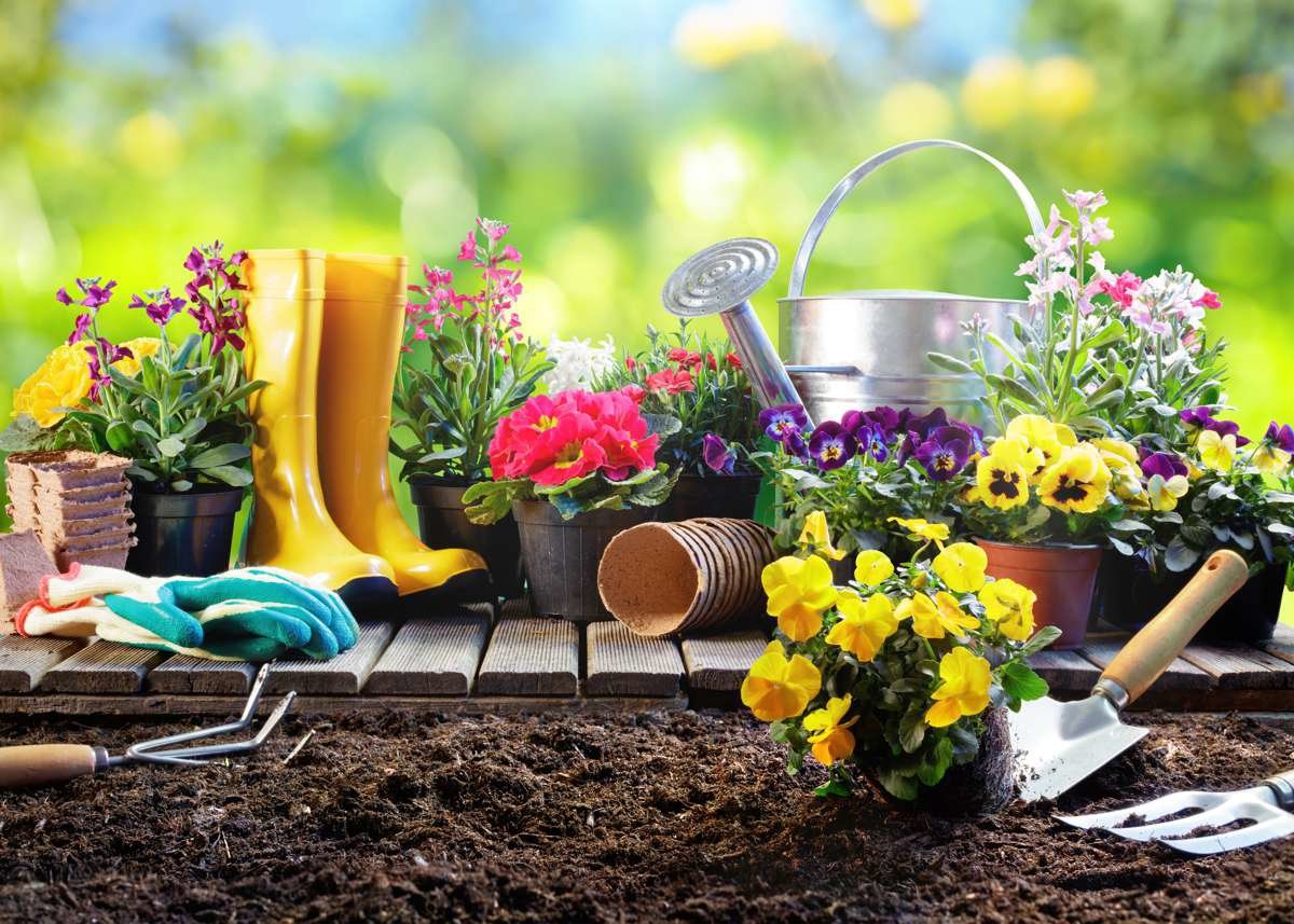 Фон Садоводство